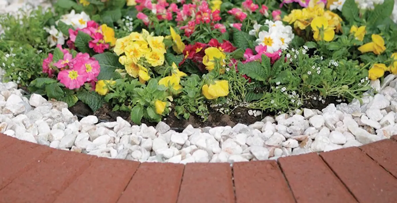 Rock Landscaping | A Creative Way to Elevate Your Outdoor Space