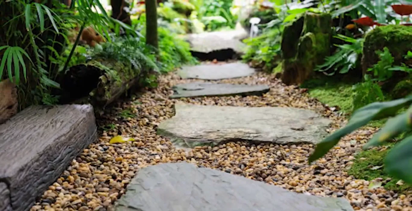 Rock Landscaping | A Creative Way to Elevate Your Outdoor Space