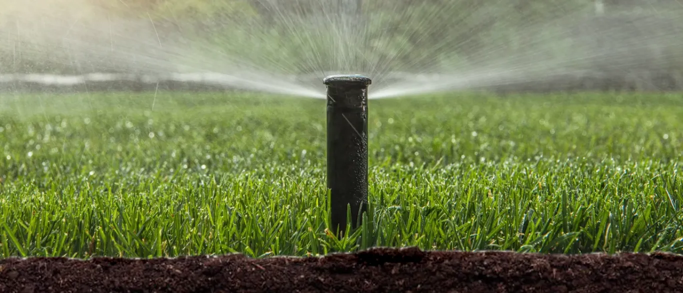 Moisture Sensor Irrigation System | The Smart Way to Save Water and Grow Healthier Landscapes