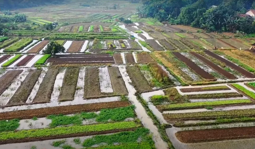 Sub Irrigation Farming | A Water-Saving Method for Dubai’s Landscaping Needs