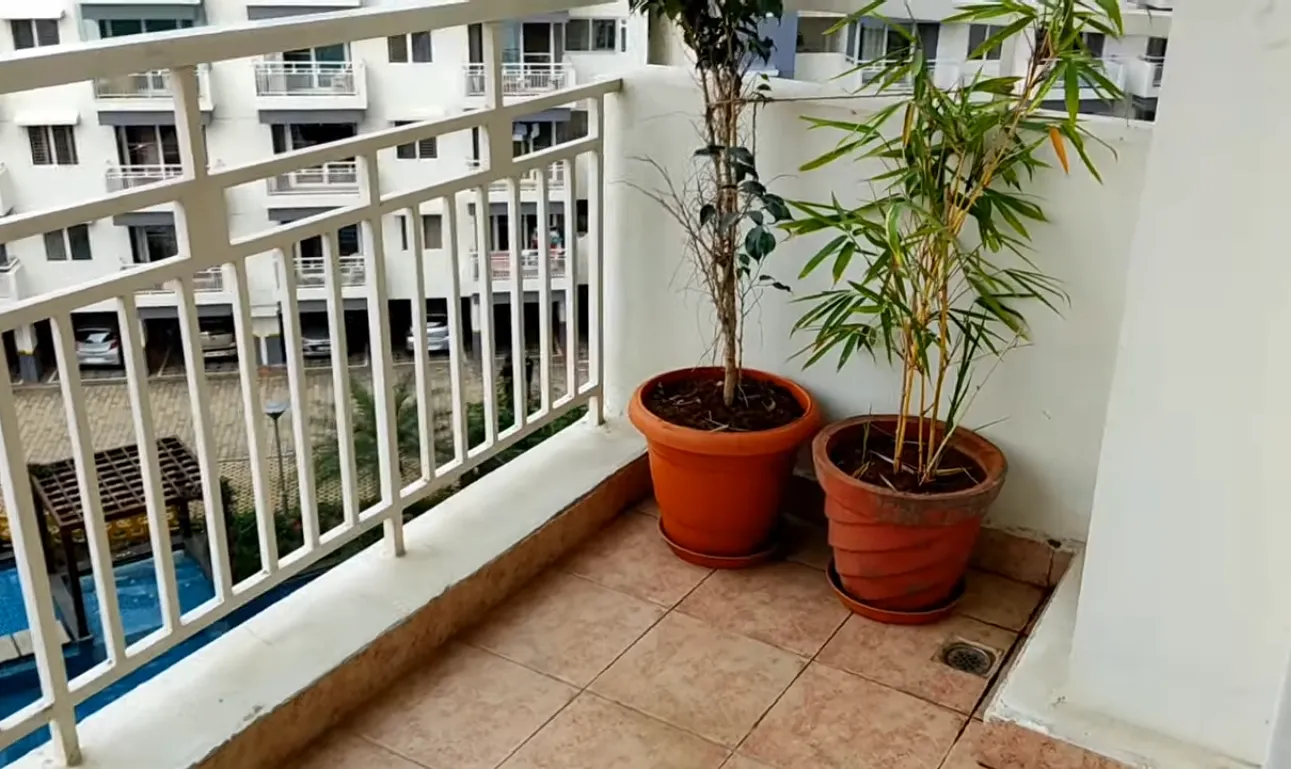 Grow Grass on an Apartment Balcony: A Complete Guide for Dubai Residents