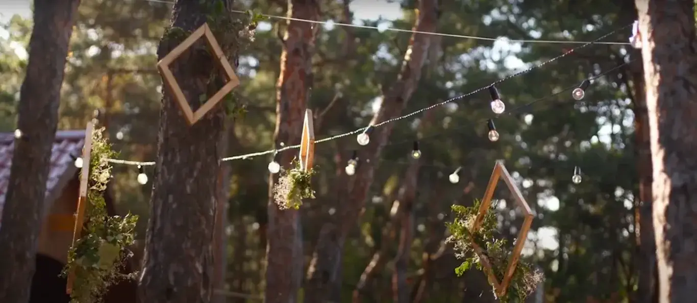 Christmas Festoon Outdoor Lights: Brighten Up Your Holiday Season