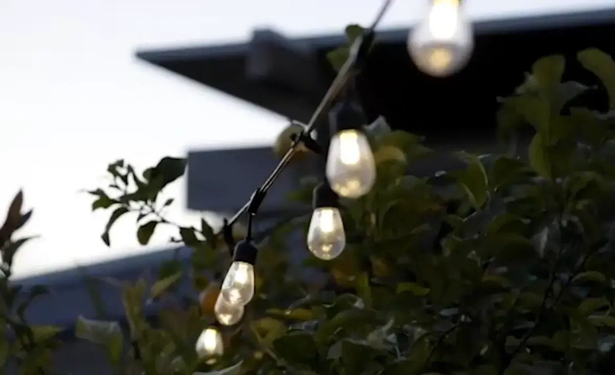 Christmas Festoon Outdoor Lights: Brighten Up Your Holiday Season