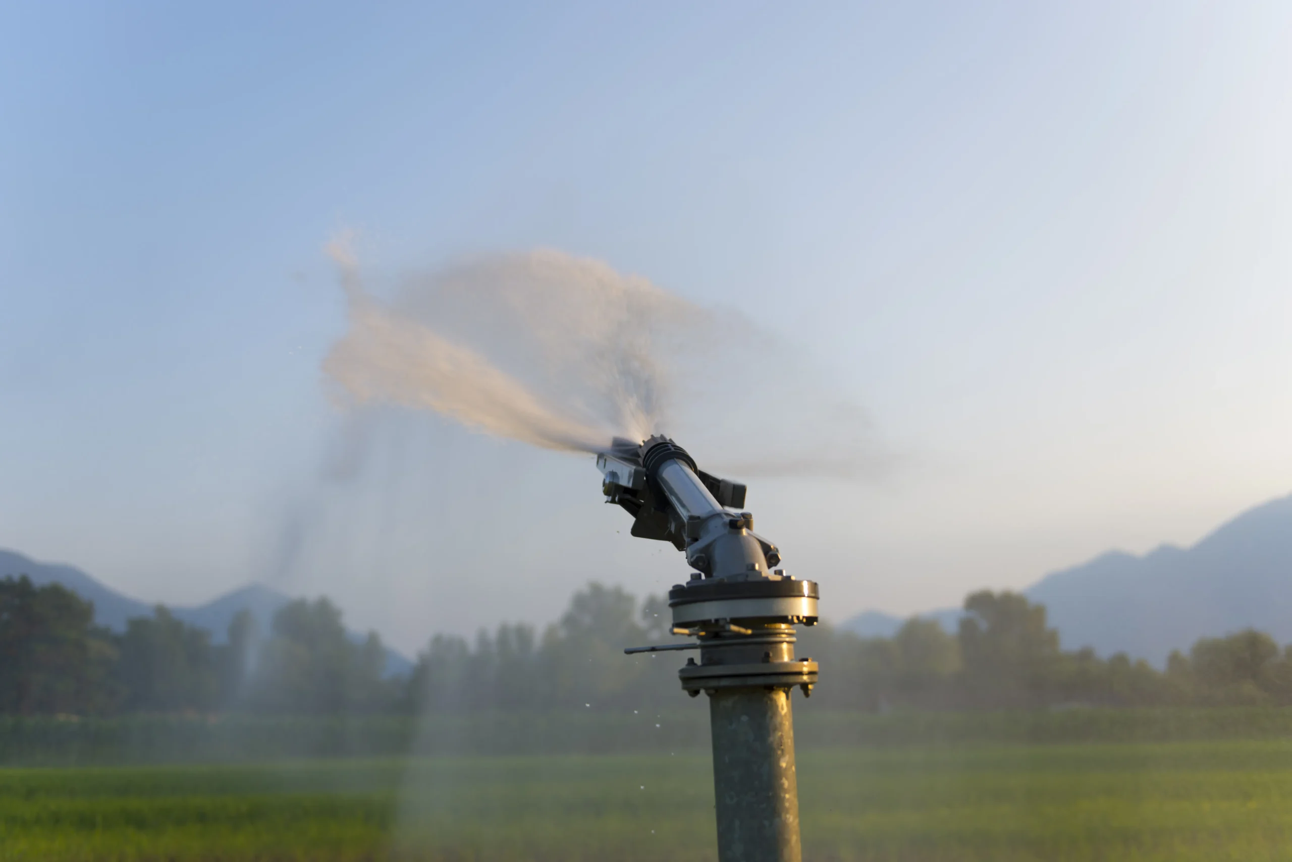 Automatic Irrigation Valves | The Key to Hassle-Free Watering