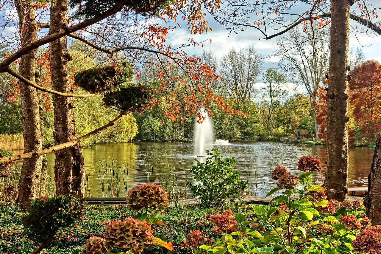 Garden Fountains and Water Features | Add a Splash of Beauty to Your Outdoor Spaces