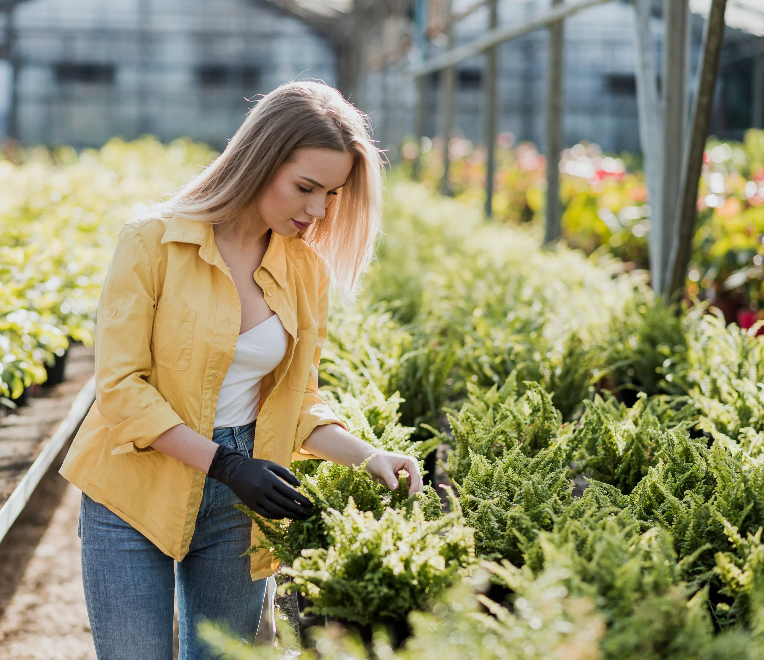 Vegetable Garden Irrigation System – A Complete Guide to Keep Your Garden Green