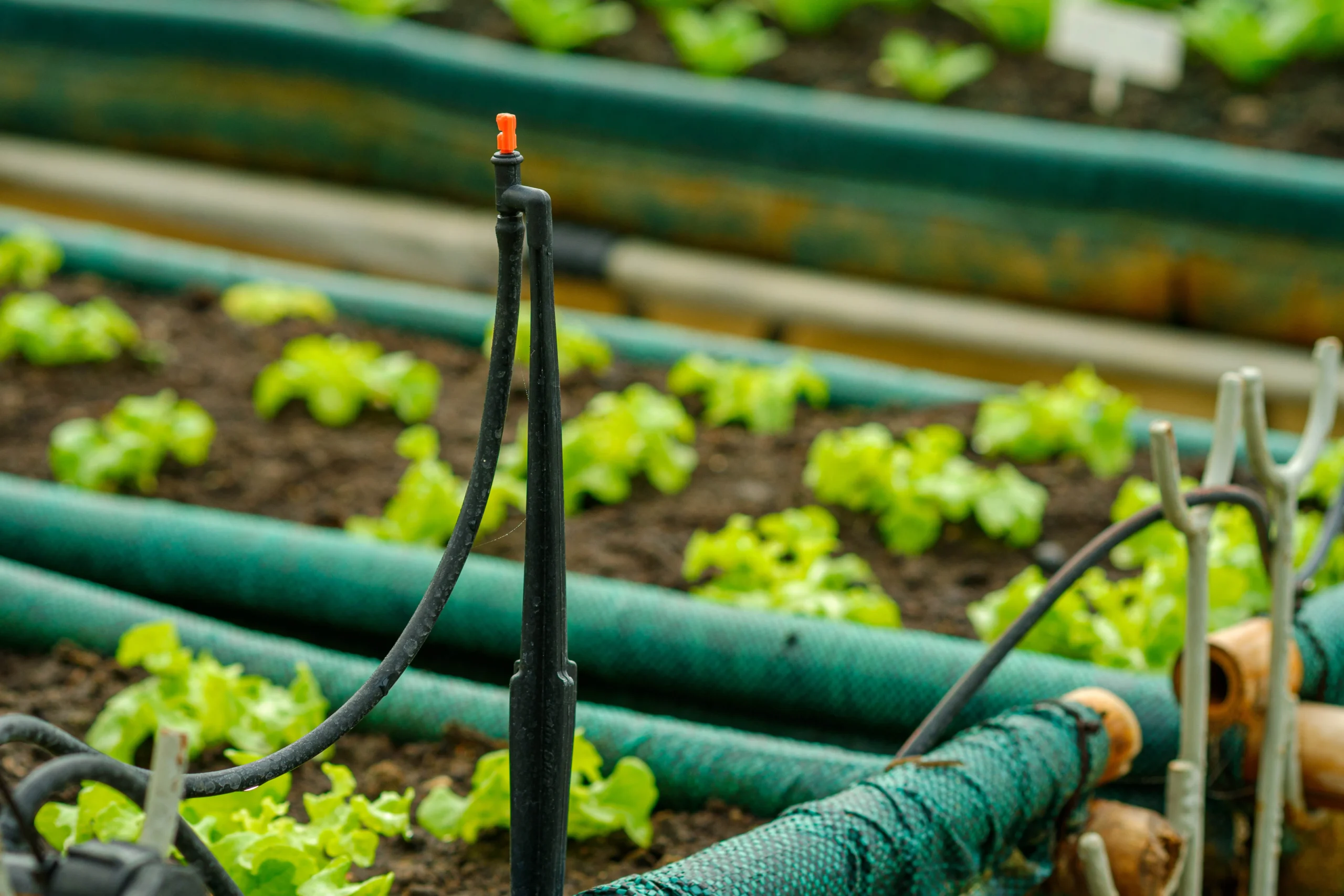 Automatic Drip Irrigation System: The Smart Way to Water Your Plants