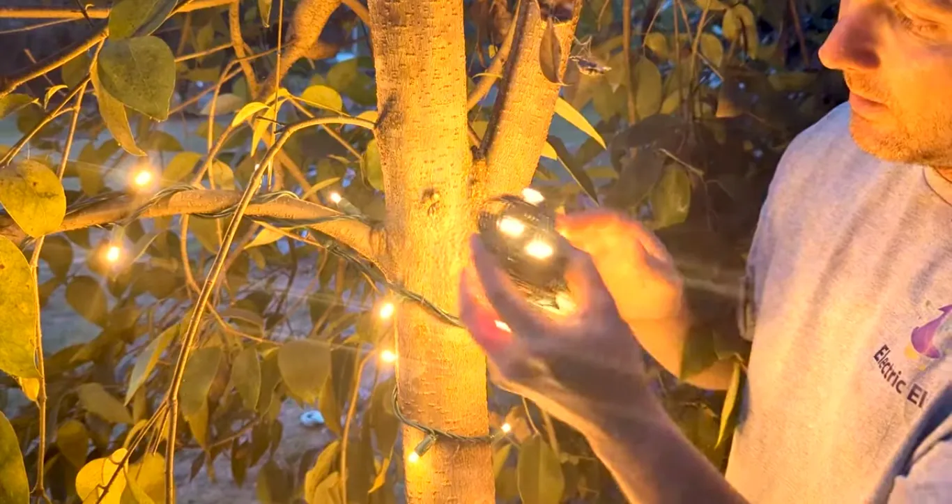 Outdoor Fairy Lights for Trees | Illuminating Your Landscape with Magic